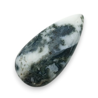 Agat drzewny kaboszon 34x17 mm nr 61