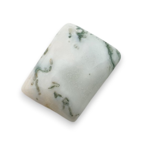 Tree agate cabochon 19x15 mm no 90 Tree agate cabochon 19x15 mm no 90