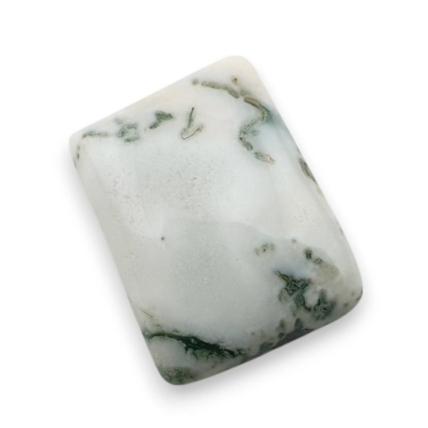 Tree agate cabochon 19x15 mm no 90 Tree agate cabochon 19x15 mm no 90
