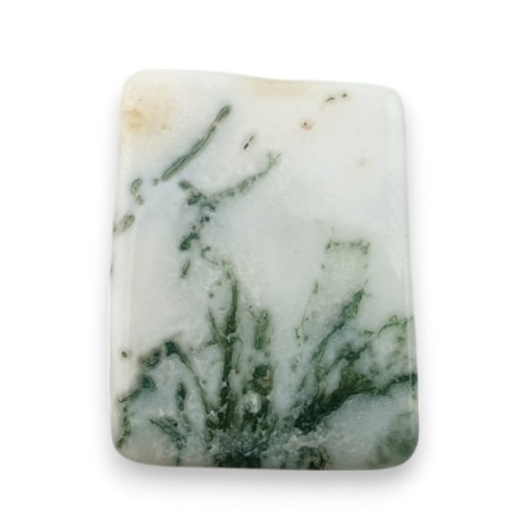 Tree agate cabochon 19x15 mm no 90 Tree agate cabochon 19x15 mm no 90