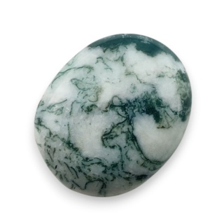 Agat drzewny kaboszon 20x17 mm nr 117