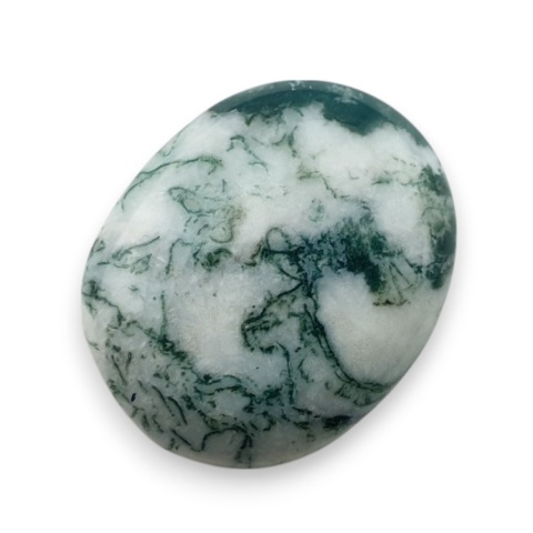 Agat drzewny kaboszon 20x17 mm nr 117 Agat drzewny kaboszon 20x17 mm nr 117
