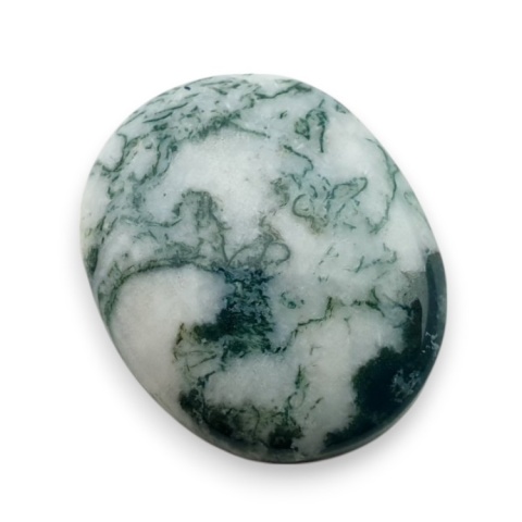 Agat drzewny kaboszon 20x17 mm nr 117 Agat drzewny kaboszon 20x17 mm nr 117