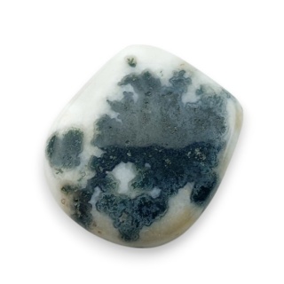 Agat drzewny kaboszon 20x18 mm nr 97