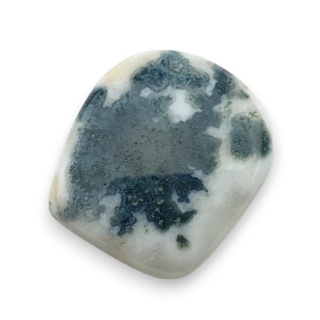 Agat drzewny kaboszon 20x18 mm nr 97