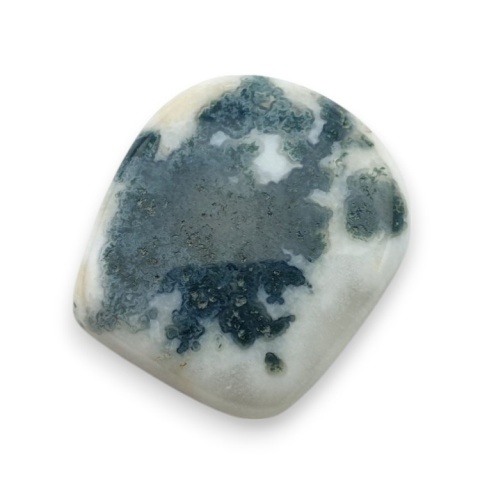 Tree agate cabochon 20x18 mm no 97 Tree agate cabochon 20x18 mm no 97