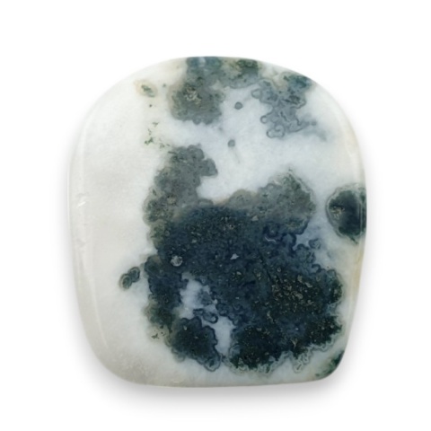 Tree agate cabochon 20x18 mm no 97 Tree agate cabochon 20x18 mm no 97