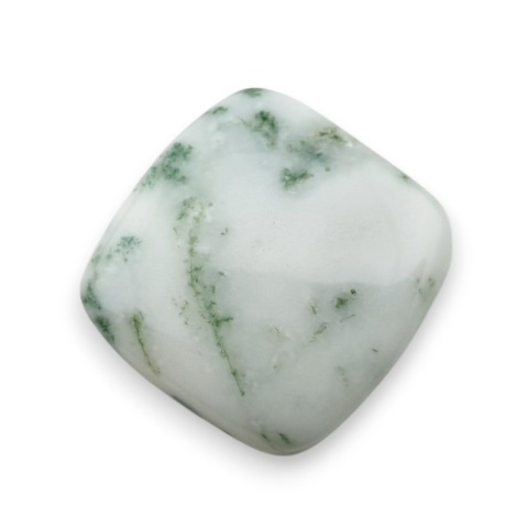Agat drzewny kaboszon 20x20 mm nr 123 Agat drzewny kaboszon 20x20 mm nr 123