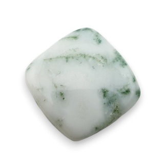 Agat drzewny kaboszon 20x20 mm nr 123