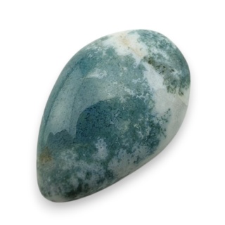 Agat drzewny kaboszon 21x13 mm nr 135