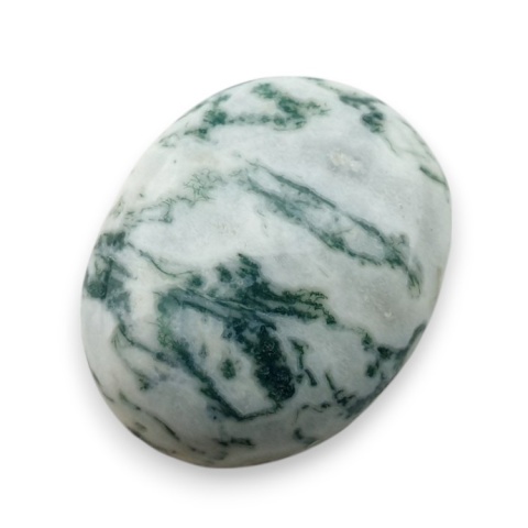 Agat drzewny kaboszon 21x17 mm nr 137 Agat drzewny kaboszon 21x17 mm nr 137