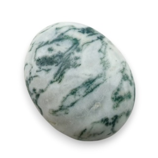 Agat drzewny kaboszon 21x17 mm nr 137