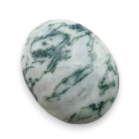 Agat drzewny kaboszon 21x17 mm nr 137 Agat drzewny kaboszon 21x17 mm nr 137