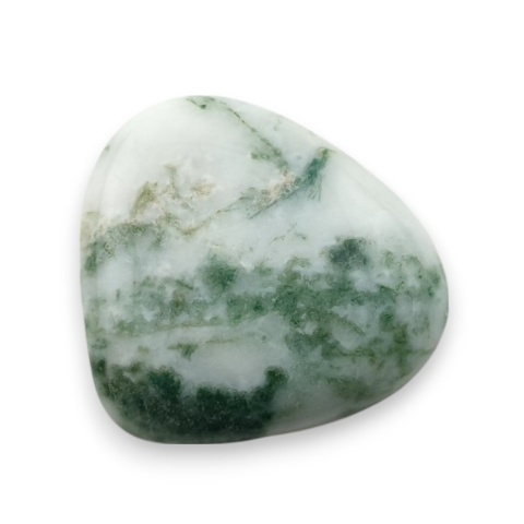 Agat drzewny kaboszon 21x19 mm nr 136 Agat drzewny kaboszon 21x19 mm nr 136