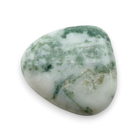 Agat drzewny kaboszon 21x19 mm nr 136 Agat drzewny kaboszon 21x19 mm nr 136