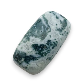 Agat drzewny kaboszon 22x12 mm nr 119