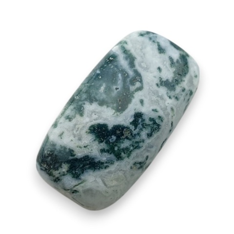 Tree agate cabochon 22x12 mm no 119 Tree agate cabochon 22x12 mm no 119