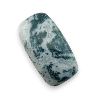 Agat drzewny kaboszon 22x12 mm nr 119