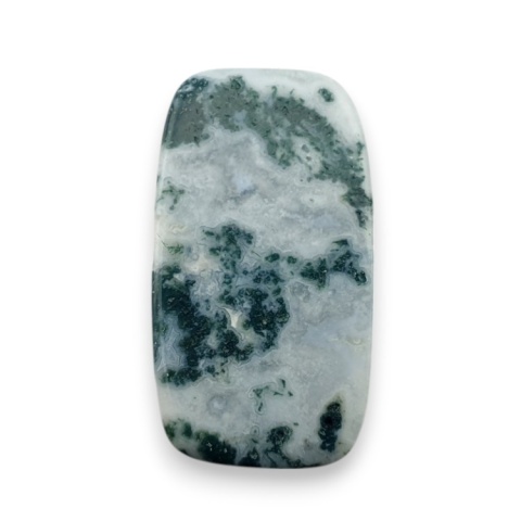 Tree agate cabochon 22x12 mm no 119 Tree agate cabochon 22x12 mm no 119
