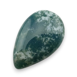 Agat drzewny kaboszon 22x14 mm nr 145
