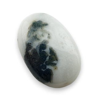 Agat drzewny kaboszon 22x15 mm nr 124