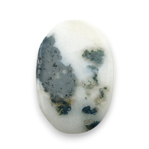 Agat drzewny kaboszon 22x15 mm nr 124