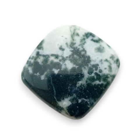 Agat drzewny kaboszon 22x21 mm nr 120 Agat drzewny kaboszon 22x21 mm nr 120