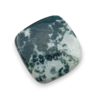 Agat drzewny kaboszon 22x21 mm nr 120