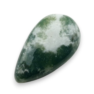 Agat drzewny kaboszon 23x13 mm nr 138