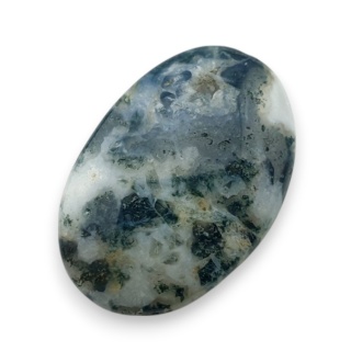 Agat drzewny kaboszon 23x15 mm nr 126