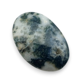 Agat drzewny kaboszon 23x15 mm nr 126