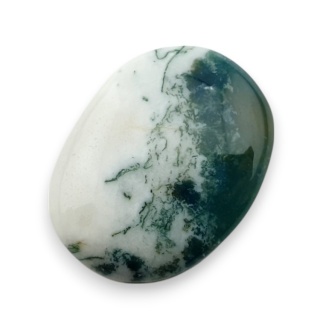 Agat drzewny kaboszon 23x18 mm nr 122