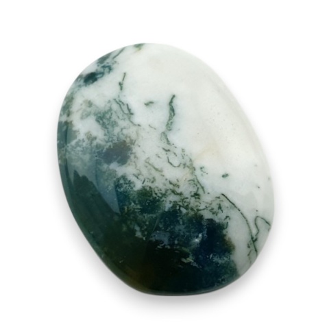 Tree agate cabochon 23x18 mm no 122 Tree agate cabochon 23x18 mm no 122