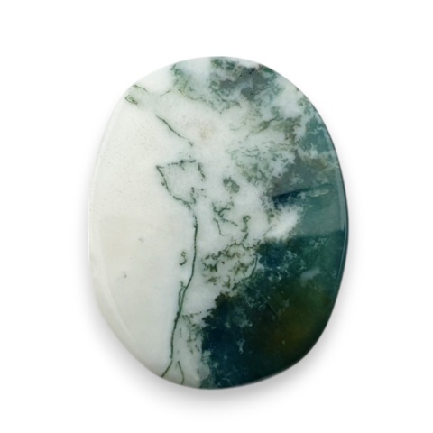 Tree agate cabochon 23x18 mm no 122 Tree agate cabochon 23x18 mm no 122