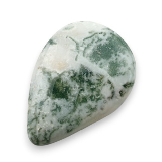 Agat drzewny kaboszon 24x17 mm nr 111