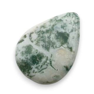 Agat drzewny kaboszon 24x17 mm nr 111