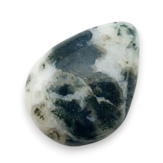 Agat drzewny kaboszon 24x18 mm nr 114