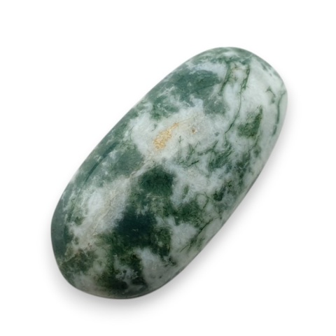 Agat drzewny kaboszon 24x21 mm nr 143 Agat drzewny kaboszon 24x21 mm nr 143