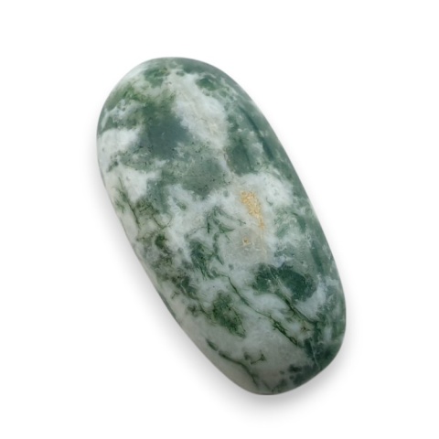 Agat drzewny kaboszon 24x21 mm nr 143 Agat drzewny kaboszon 24x21 mm nr 143