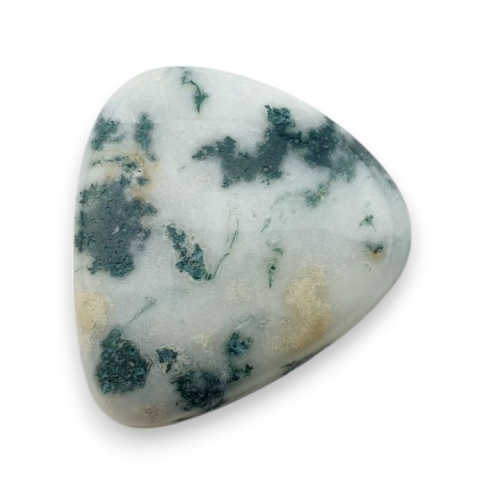 Tree agate cabochon 24x22 mm no 115