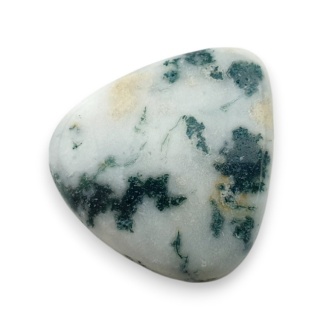 Agat drzewny kaboszon 24x22 mm nr 115