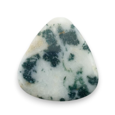 Tree agate cabochon 24x22 mm no 115