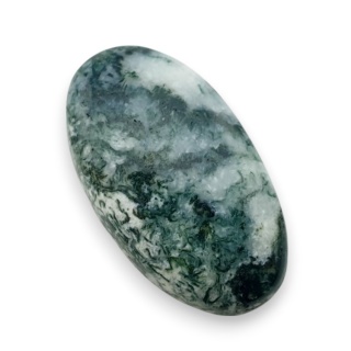 Agat drzewny kaboszon 25x14 mm nr 121