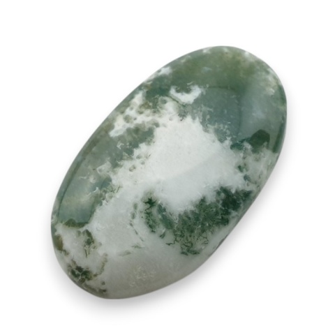 Agat drzewny kaboszon 25x14 mm nr 134 Agat drzewny kaboszon 25x14 mm nr 134