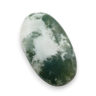Agat drzewny kaboszon 25x14 mm nr 134
