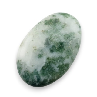 Agat drzewny kaboszon 25x16 mm nr 131