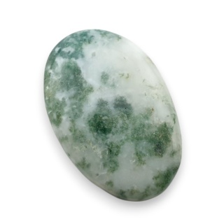 Agat drzewny kaboszon 25x16 mm nr 131