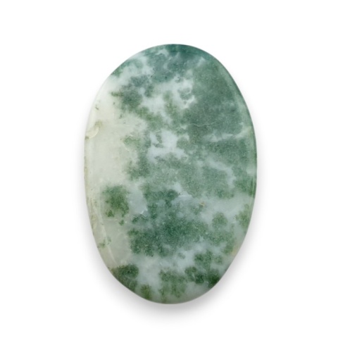 Tree agate cabochon 25x16 mm no 131 Tree agate cabochon 25x16 mm no 131