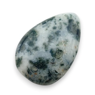 Agat drzewny kaboszon 25x17 mm nr 118