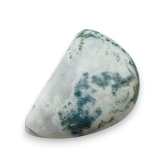 Agat drzewny kaboszon 25x18 mm nr 89